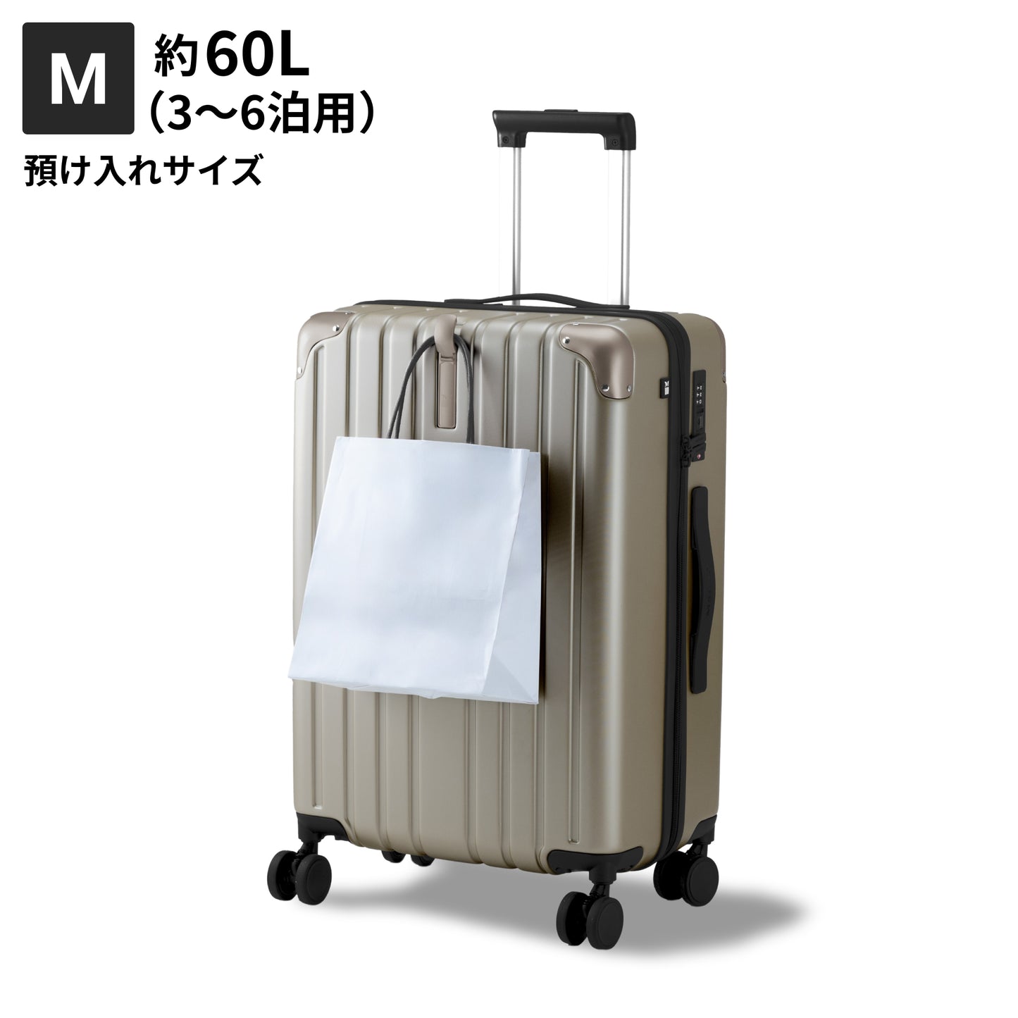 【リニューアルして新登場!長く使える多機能モデル】PROTES - プロテス -