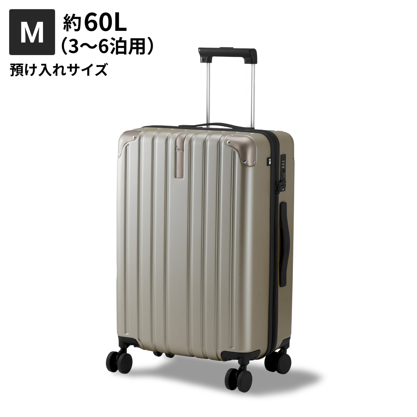 【リニューアルして新登場!長く使える多機能モデル】PROTES - プロテス -