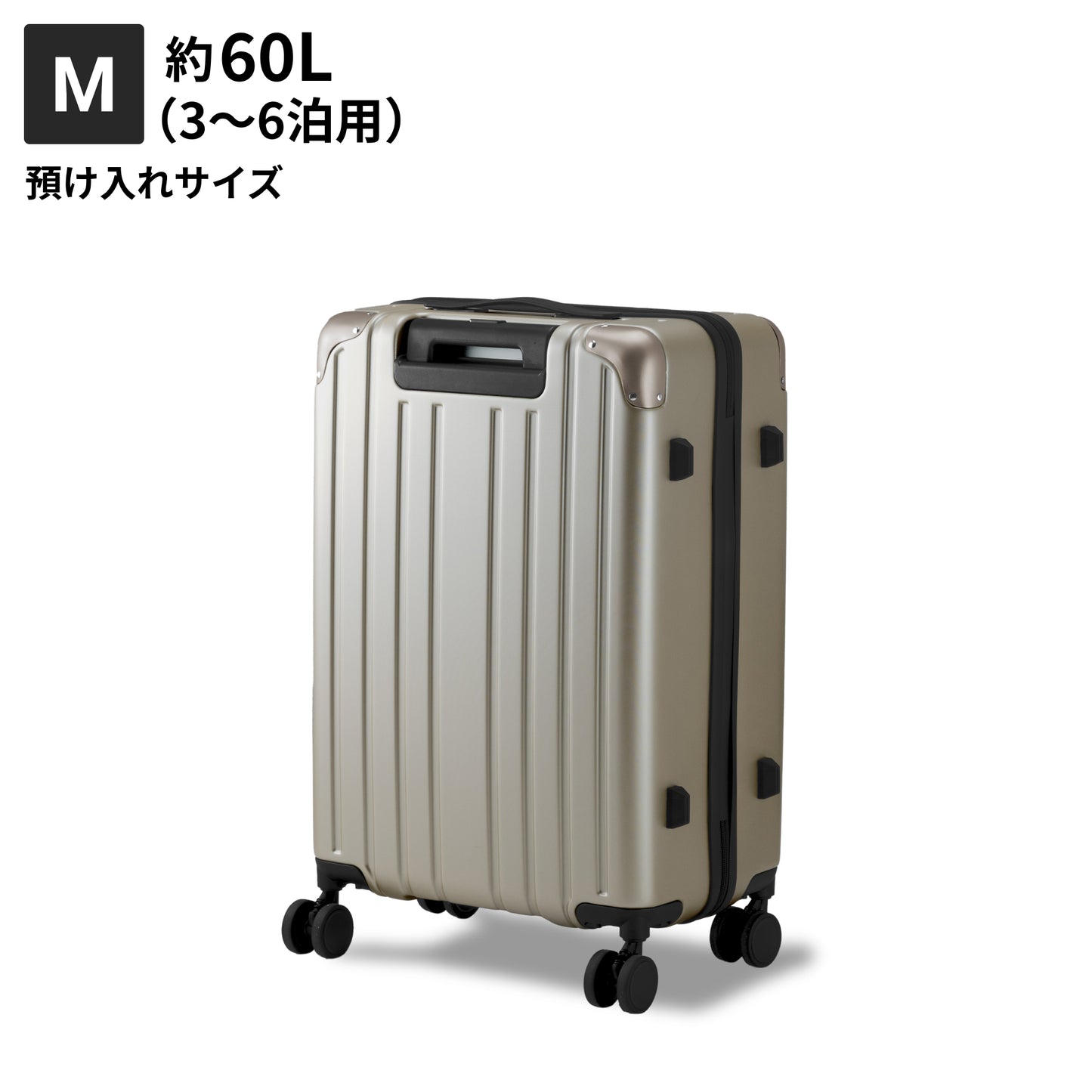 【リニューアルして新登場!長く使える多機能モデル】PROTES - プロテス -
